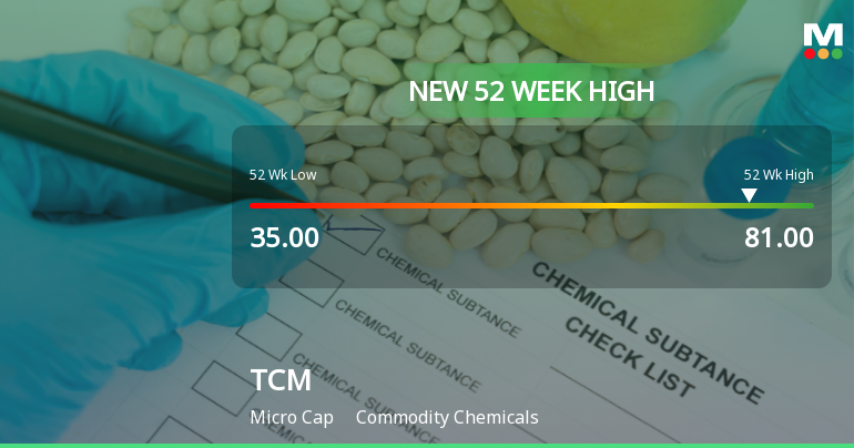 TCM Stock Hits New 52-Week High of Rs.81, Marking Significant Milestone