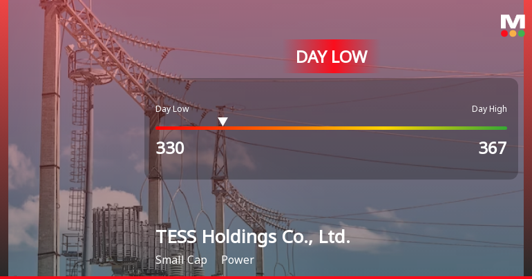 TESS Holdings Hits Day Low at JPY 330 Amid Price Pressure