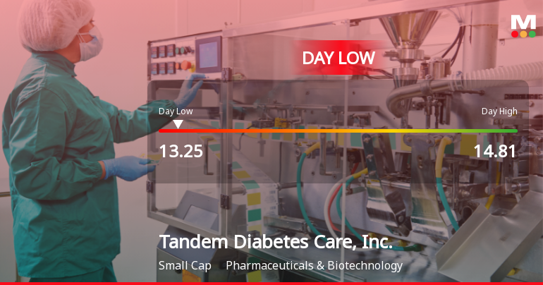 Tandem Diabetes Care Hits Day Low at $13.25 Amid Price Pressure