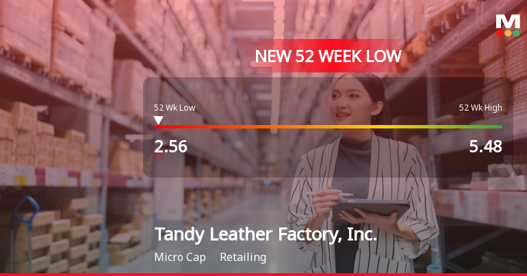 Tandy Leather Factory Hits New 52-Week Low at $2.56