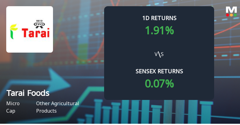 Tarai Foods Faces Intense Selling Pressure Amid Consecutive Losses