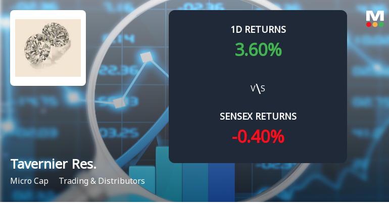Tavernier Resources Ltd Faces Selling Pressure Amid 16.12% Decline Over Three Months