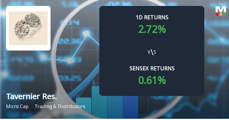 Tavernier Resources Faces Severe Selling Pressure Amid Lower Circuit