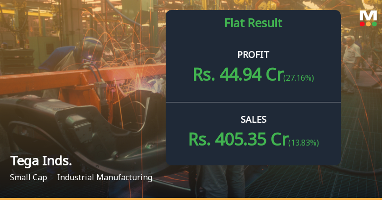 Tega Industries Q2 FY26: Profit Surges 522% but Valuation Concerns Persist