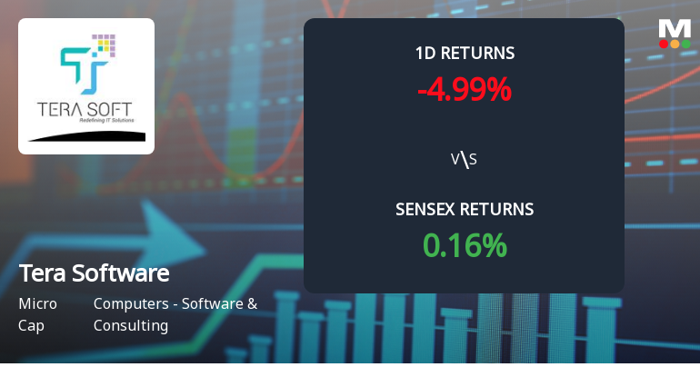 Tera Software Faces Intense Selling Pressure Amid Lower Circuit Lockdown