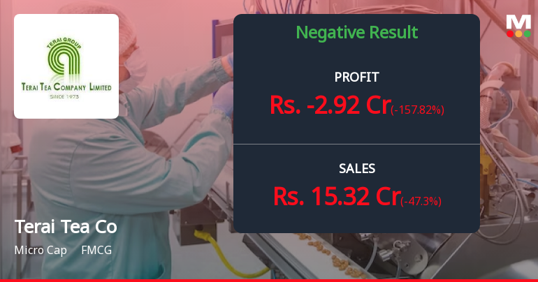 Terai Tea Co Q2 FY26: Steep Losses Amid Sharp Revenue Decline