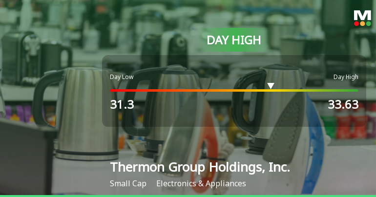 Thermon Group Hits Day High with 11.53% Surge in Stock Price