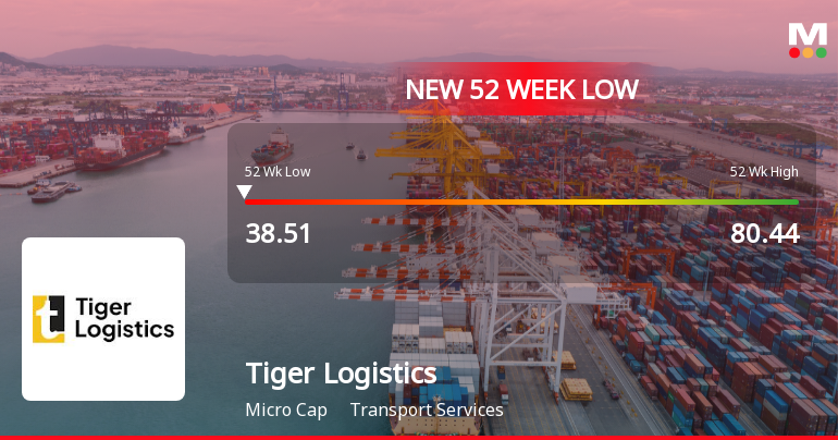 Tiger Logistics (India) Stock Falls to 52-Week Low of Rs.38.55