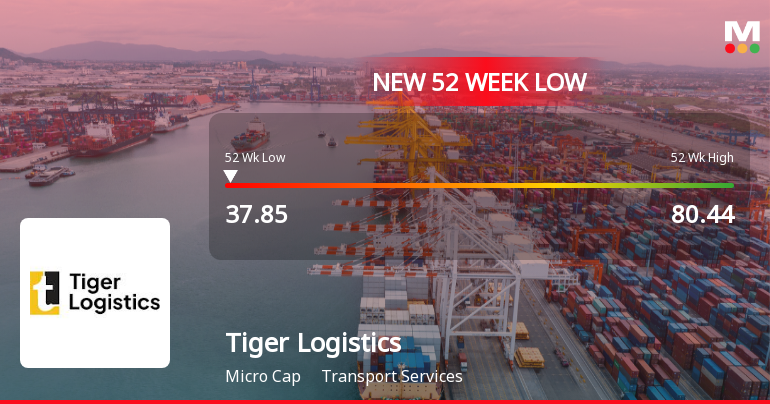 Tiger Logistics (India) Stock Falls to 52-Week Low of Rs.37.9
