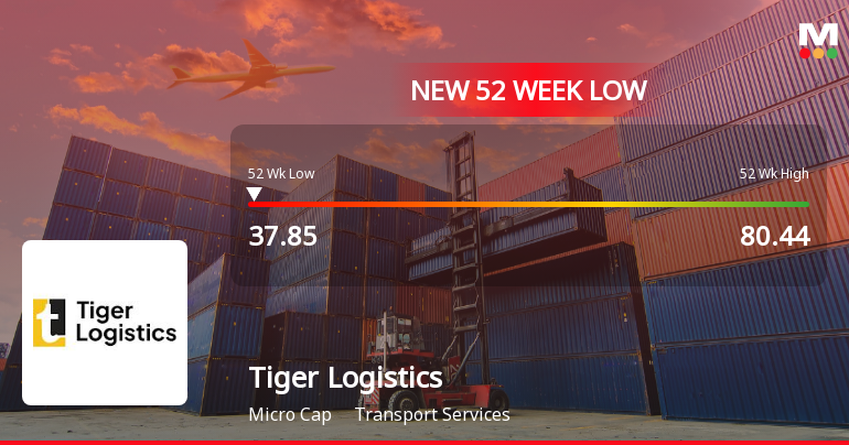 Tiger Logistics (India) Stock Falls to 52-Week Low of Rs.37.9