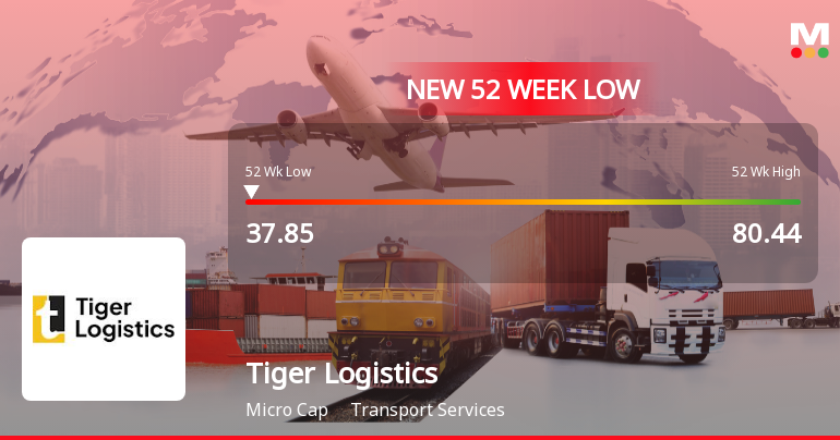 Tiger Logistics (India) Stock Falls to 52-Week Low of Rs.37.9