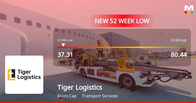 Tiger Logistics (India) Stock Falls to 52-Week Low of Rs.37.31