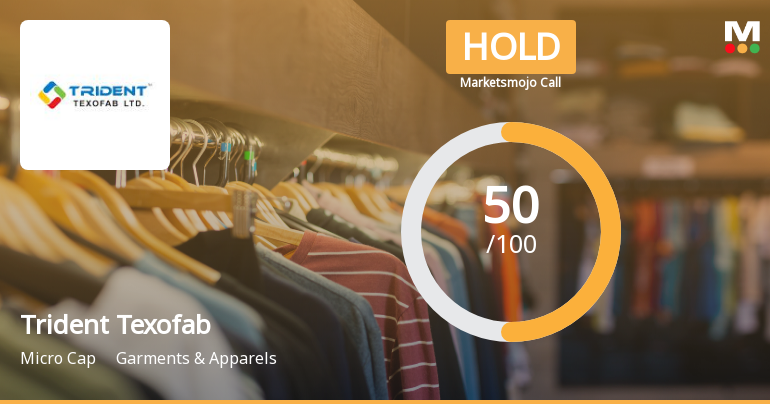 Trident Texofab Shows Strong Financial Performance Amid High Debt Concerns