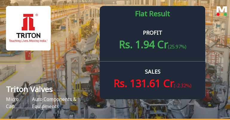 Triton Valves Q2 FY26: Margin Compression Overshadows Revenue Growth as Operating Efficiency Weakens