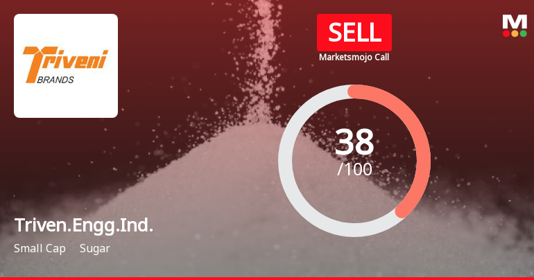 Triven.Engg.Ind. Sees Revision in Market Evaluation Amid Mixed Financial Signals