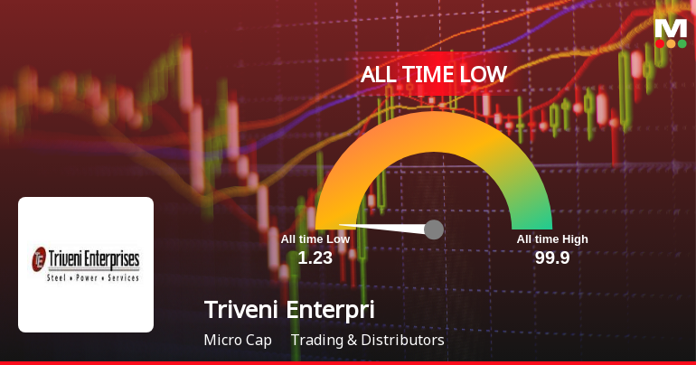 Triveni Enterprises Stock Hits All-Time Low Amid Prolonged Downtrend