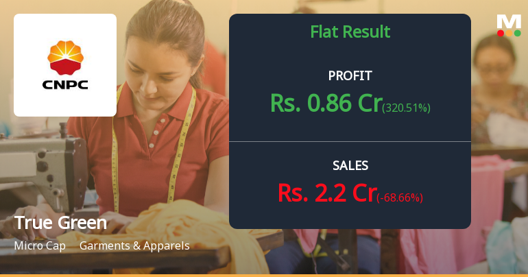 True Green Bio Energy Q2 FY26: Revenue Collapse Deepens as Operational Crisis Persists