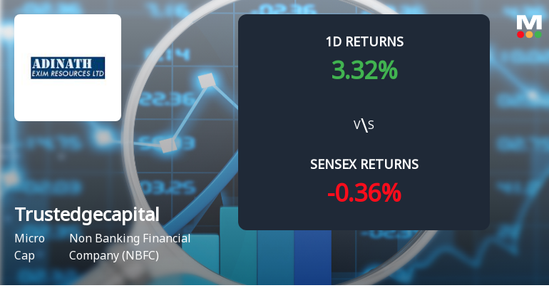 Trustedge Capital Ltd Surges 4.67% Today, Achieves 217.39% Yearly Gain Amid Market Decline