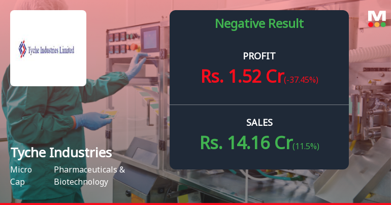 Tyche Industries Q2 FY26: Sharp Profit Decline Amid Revenue Weakness and Margin Collapse
