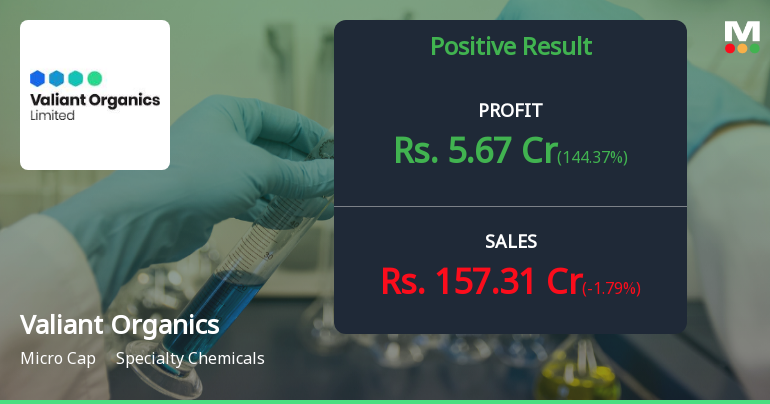 Valiant Organics Q2 FY26: Profit Recovery Masks Underlying Revenue Weakness