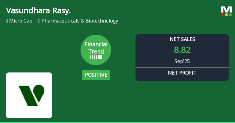 Vasundhara Rasayans Shows Mixed Financial Trends Amidst Strong Quarterly Performance