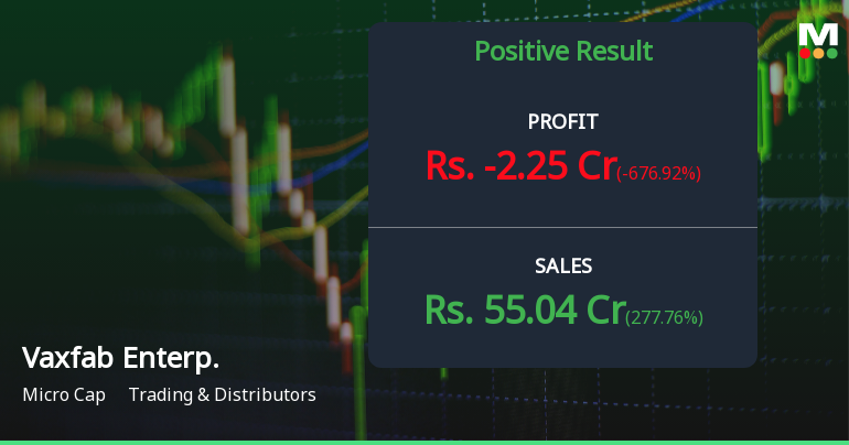 Vaxfab Enterprises Q2 FY26: Explosive Growth Meets Profitability Concerns