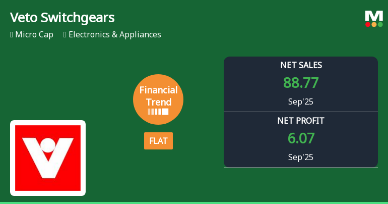 Veto Switchgears & Cables Financial Trend Sees Flat Quarter Amid Market Challenges