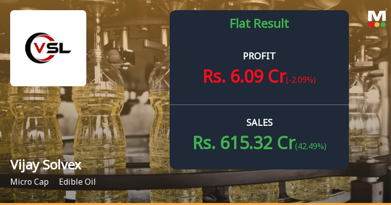 Vijay Solvex Q2 FY26: Strong Revenue Surge Masks Margin Pressures in Volatile Edible Oil Sector