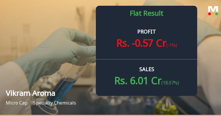 Vikram Aroma Q2 FY26: Losses Deepen Amid Persistent Operational Challenges