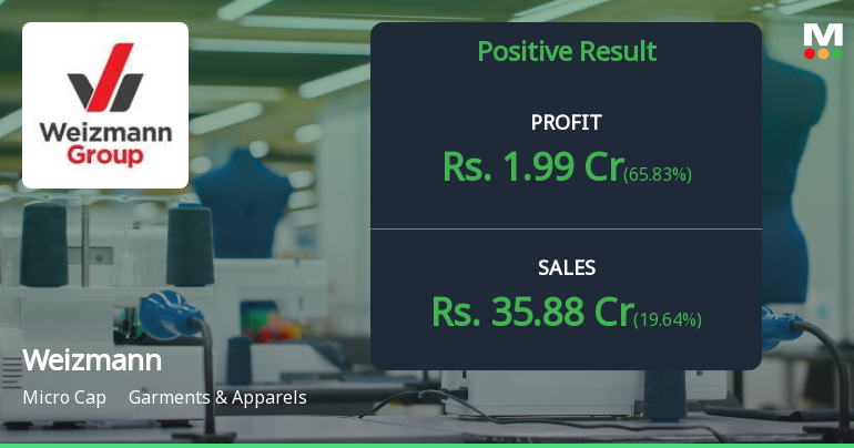 Weizmann Ltd Q2 FY26: Profit Surge Masks Underlying Operational Concerns