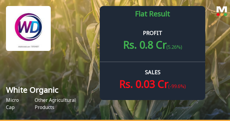 White Organic Agro Q2 FY26: Structural Challenges Deepen as Losses Mount and Stock Slides