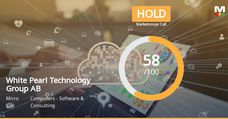 White Pearl Technology Group Adjusts Valuation Amid Declining Profits and Strong Returns