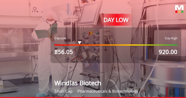 Windlas Biotech Hits Day Low at Rs 863.2 Amid Price Pressure