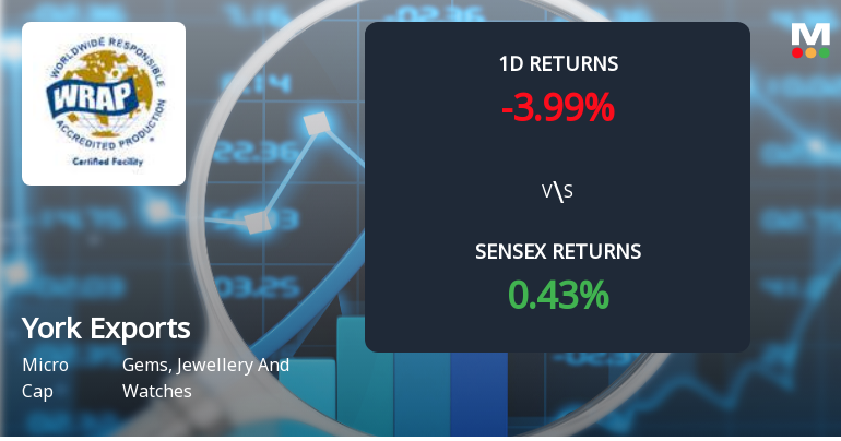 York Exports Sees Unprecedented Buying Interest Amid Upper Circuit Lock
