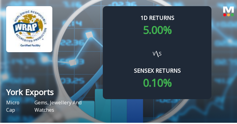 York Exports Surges with Unprecedented Buying Interest, Poised for Multi-Day Upper Circuit