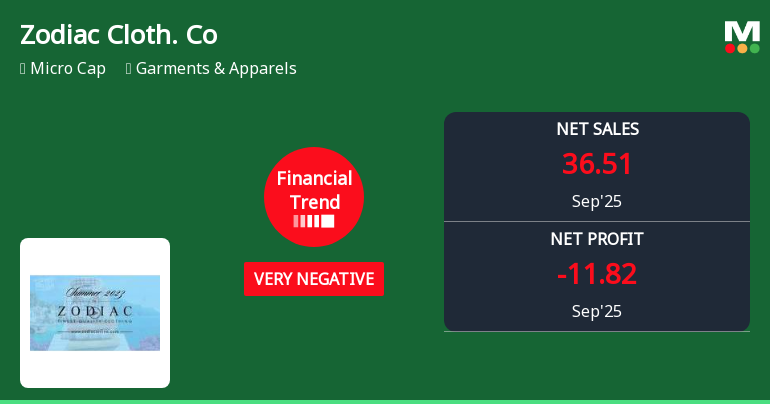 Zodiac Clothing Faces Financial Struggles Amidst Mixed Performance Indicators