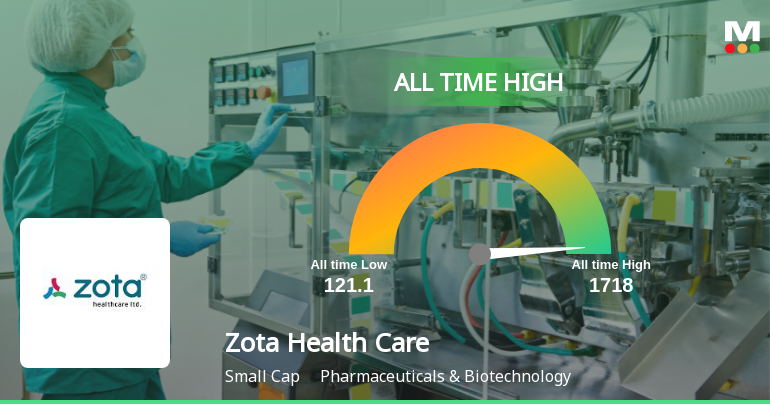 Zota Health Care Stock Hits All-Time High Amidst Strong Market Performance
