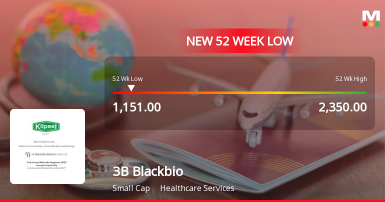 3B Blackbio DX Falls to 52-Week Low of Rs.1151 Amidst Prolonged Downtrend