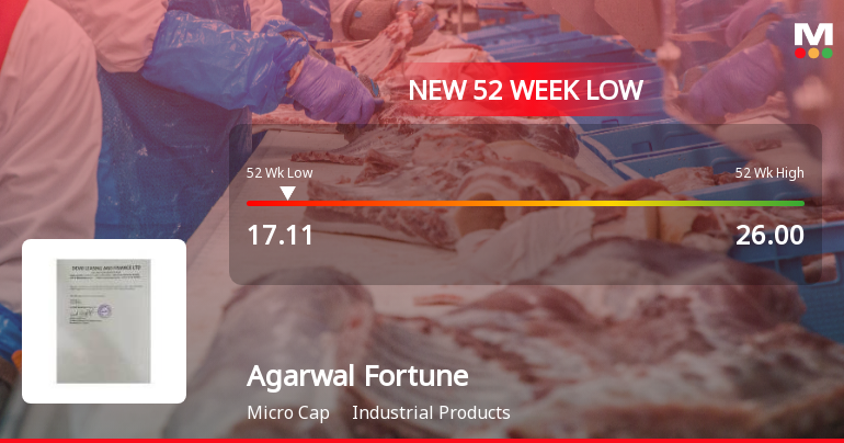 Agarwal Fortune India Stock Hits 52-Week Low at Rs.17.11 Amid Market Underperformance