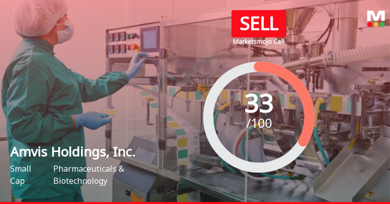 Amvis Holdings Faces Financial Challenges Amid Mixed Market Performance Indicators