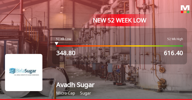 Avadh Sugar & Energy Falls to 52-Week Low of Rs.351 Amidst Prolonged Downtrend