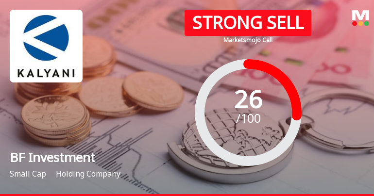 BF Investment Sees Revision in Market Evaluation Amid Challenging Performance