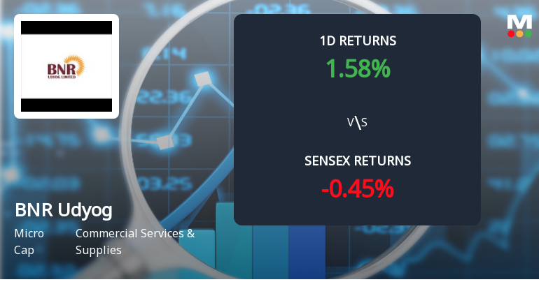 BNR Udyog Faces Intense Selling Pressure Amid Consecutive Losses