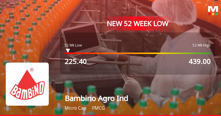 Bambino Agro Industries Stock Falls to 52-Week Low of Rs.225.4