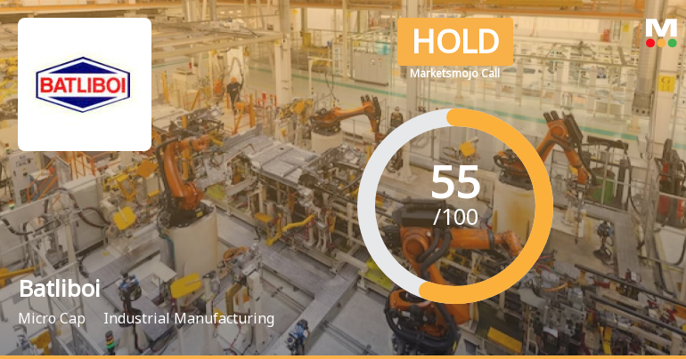 Batliboi’s Evaluation Metrics Revised Amid Mixed Financial Signals