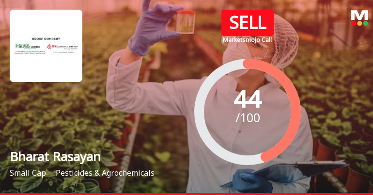 Bharat Rasayan: Analytical Review Highlights Mixed Signals Amidst Market Challenges