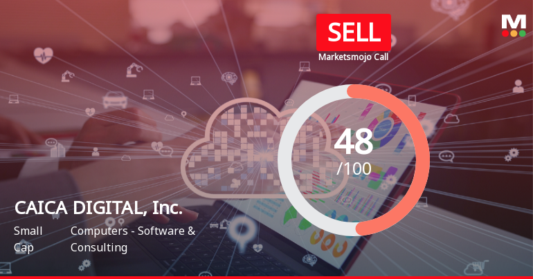 CAICA DIGITAL Faces Challenges Amid Declining Sales and Management Efficiency Concerns