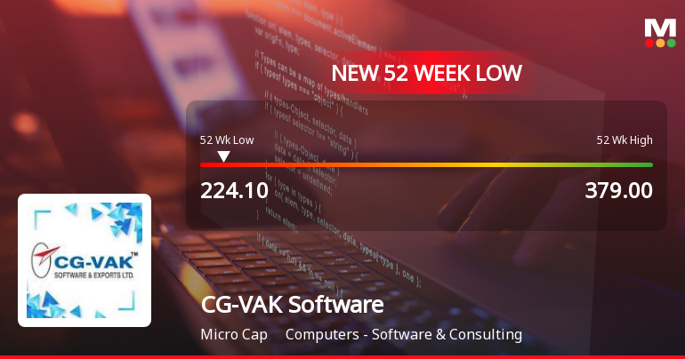CG-VAK Software & Exports Falls to 52-Week Low of Rs.224.1 Amid Market Pressure