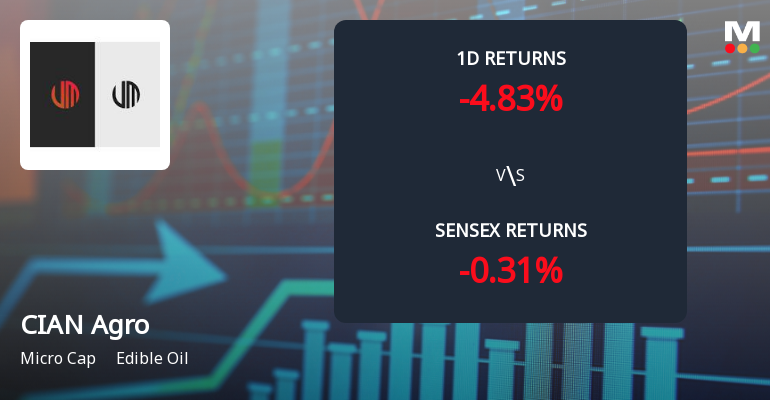 CIAN Agro Industries & Infrastructure Faces Intense Selling Pressure Amid Consecutive Losses