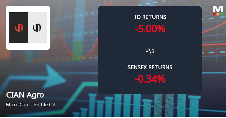 CIAN Agro Industries & Infrastructure Faces Intense Selling Pressure Amid Consecutive Losses